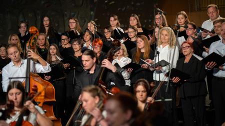 Obcˇinski praznik_24-02288